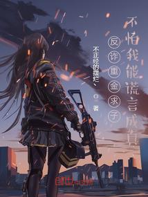 镜域终