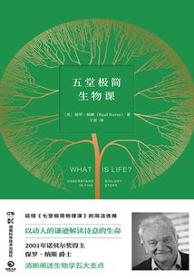 租个总裁回家过年