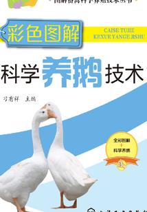青春之疯狂恋