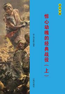 大明小厨子