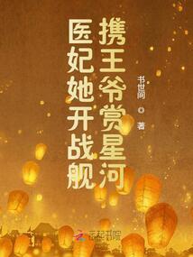 王爷追妻萌萌哒