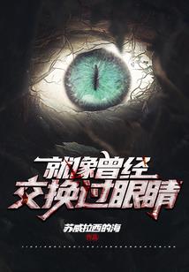 网球王子之追猫日记