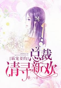 热血之无敌保镖
