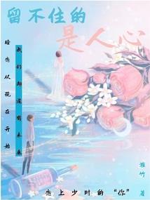 巡北龙使