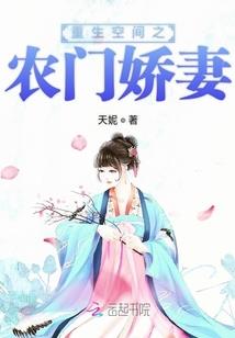 次元幻想：黑银之心
