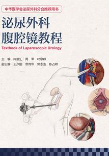 盛夏的美好