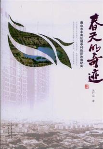 反派有毒，Boss来战！