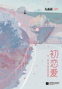 七族猫