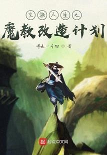 林浅的完美婚姻