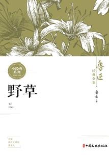 为什么信仰C罗