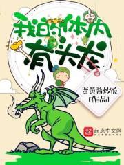 辉羽大陆