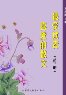 琴伤之断鸢残雪