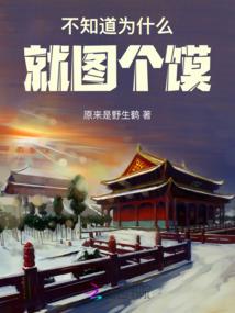仙途之天启大陆