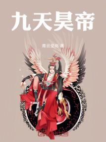 我的完美芯片