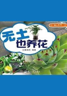 渐暖时光