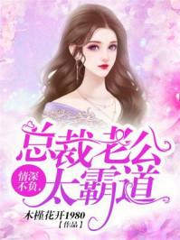 萧皇传