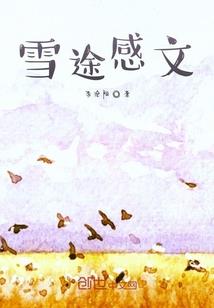 从今天开始做提督