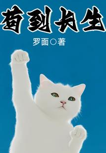 河马与五年
