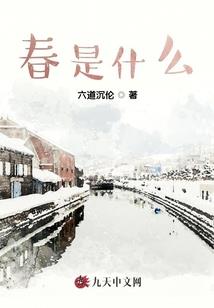 极品少宗