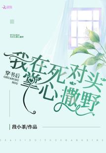 海贼罗夏