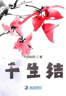 口袋妖怪之复刻系统