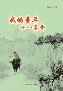 从龙珠开始穿梭