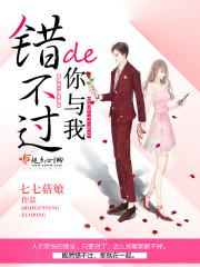 梦的无限旅途