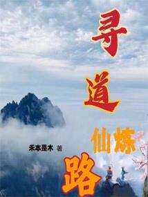 孤独又灿烂的侠