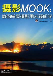 镜灵仙道