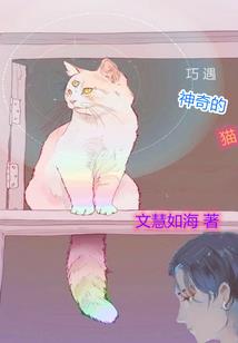 星河江湖
