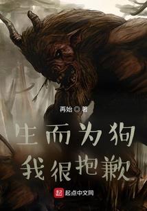 圣者光辉
