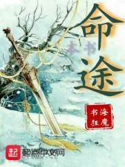 灵影碎渊