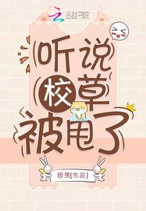 重生从承包杀猪开始