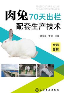守得云开就见月明