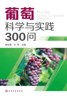 十梦