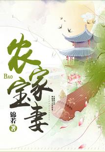 11剑客之九狼传说