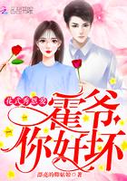 如影同行