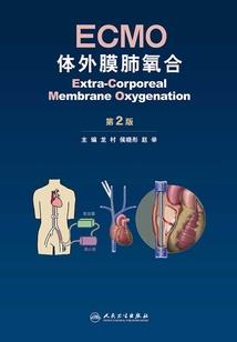傲视雄天传
