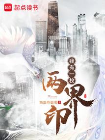 王见王之暗夜流光