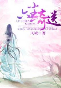 止步为爱