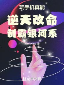 崛起——寂灭时代
