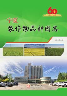星魂之恋