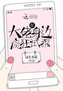 夏夜风微凉