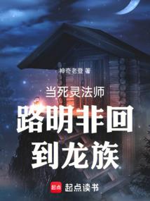 龙雷大陆