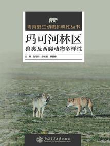 反派纪名录