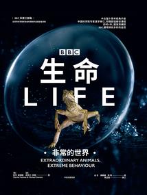 神龙少年的校园梦