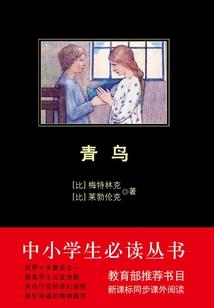 重生之变成NPC女神