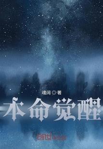 天罡内力