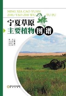 北有南庭，予我深情(合作)