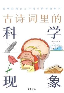 只爱你的我